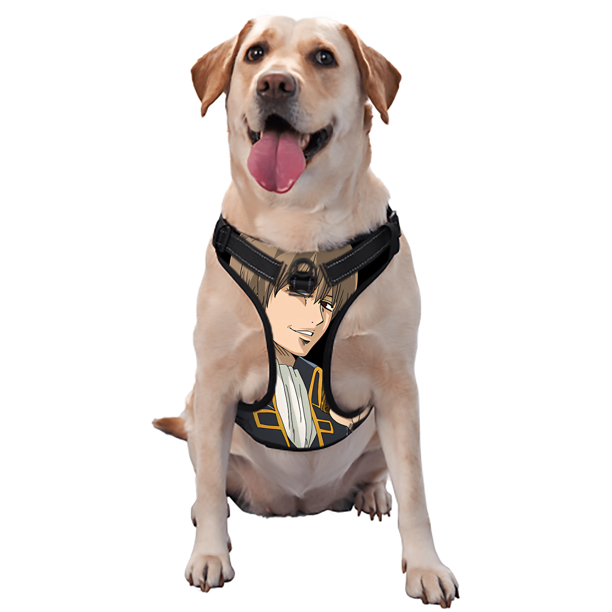 （画像用） ぎんたま 坂田銀時（さかたぎんとき） 神楽 志村新八（しむら しんぱち） GINTAMA Sakata Gintoki Kagura Shimura Shinpachi ペット用ハーネス